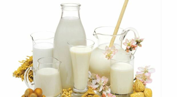 latte-vegetale-alternativo